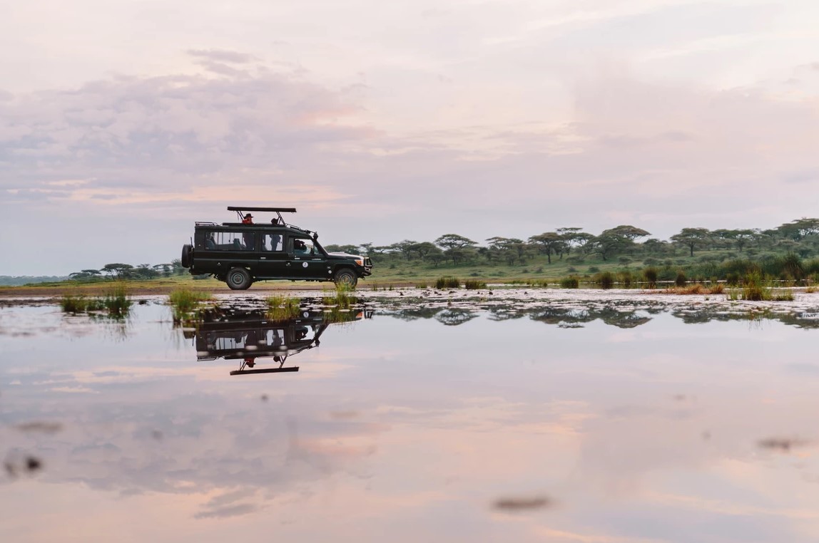 Kirurumu Serengeti North